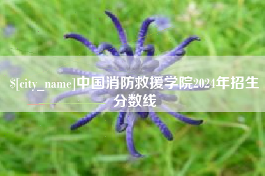 张掖中国消防救援学院2024年招生分数线