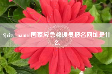 张掖国家应急救援员报名网址是什么