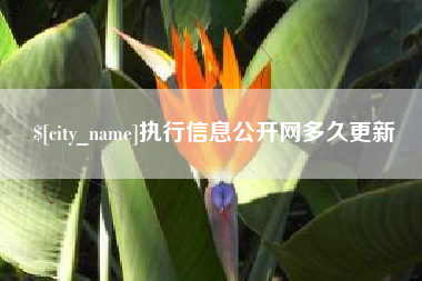 张掖执行信息公开网多久更新