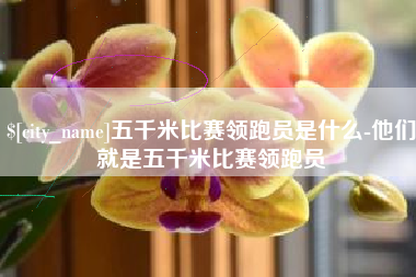 张掖五千米比赛领跑员是什么-他们就是五千米比赛领跑员