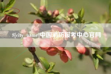 张掖中国消防报考中心官网