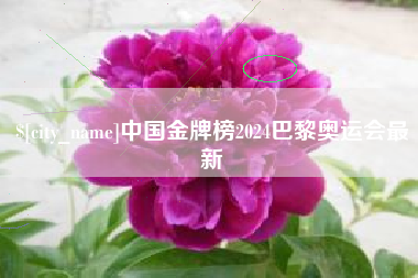 张掖中国金牌榜2024巴黎奥运会最新