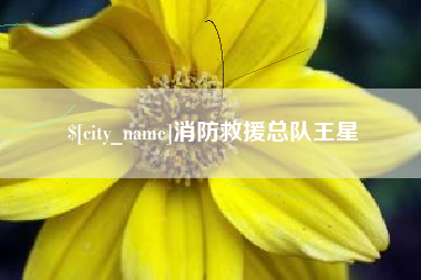 张掖消防救援总队王星
