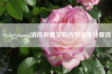 张掖消防救援学院内部招生分数线