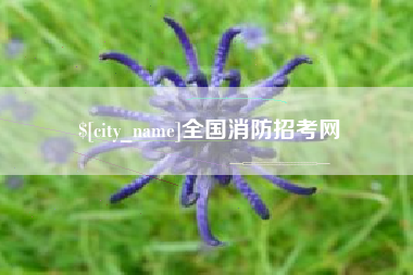 张掖全国消防招考网