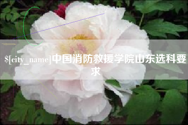 张掖中国消防救援学院山东选科要求