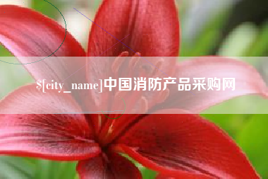 张掖中国消防产品采购网