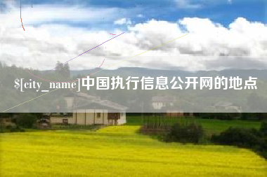 张掖中国执行信息公开网的地点