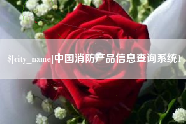 张掖中国消防产品信息查询系统1