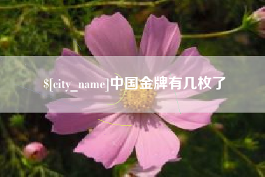 张掖中国金牌有几枚了