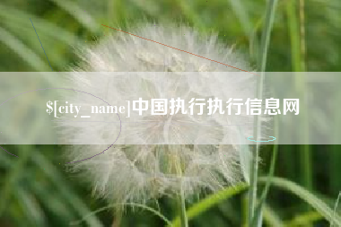 张掖中国执行执行信息网
