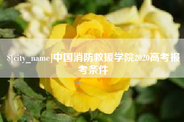 张掖中国消防救援学院2020高考报考条件