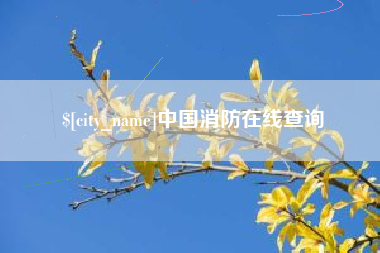 张掖中国消防在线查询