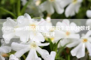 张掖消防救援学院招生录取分数线2020福建