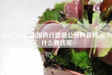 张掖中国执行信息公开网官网app为什么要钱呢