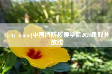 张掖中国消防救援学院2021录取分数线
