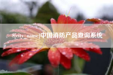 张掖中国消防产品查询系统