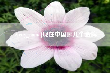 张掖现在中国哪几个金牌