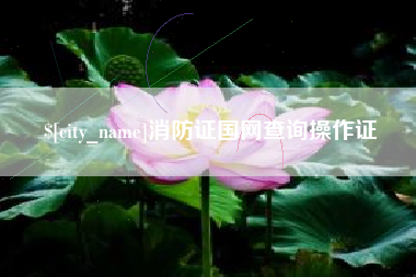 张掖消防证国网查询操作证