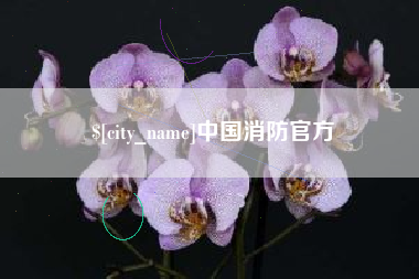 张掖中国消防官方