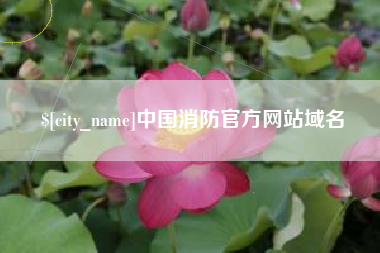 张掖中国消防官方网站域名
