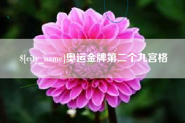 张掖奥运金牌第二个九宫格