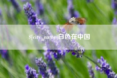 张掖白色在中国
