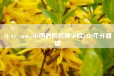 张掖中国消防救援学院2020年分数线