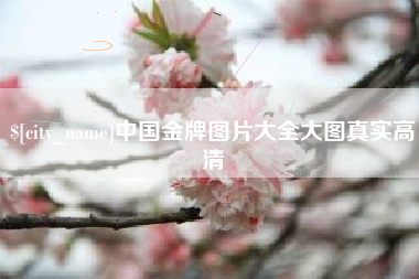张掖中国金牌图片大全大图真实高清