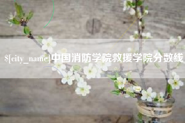 张掖中国消防学院救援学院分数线