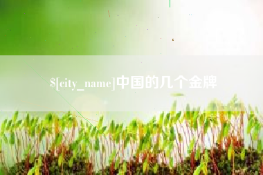张掖中国的几个金牌