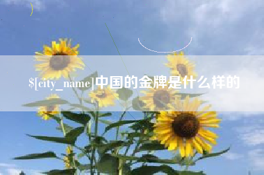 张掖中国的金牌是什么样的