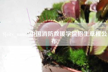 张掖中国消防救援学院招生章程公布!