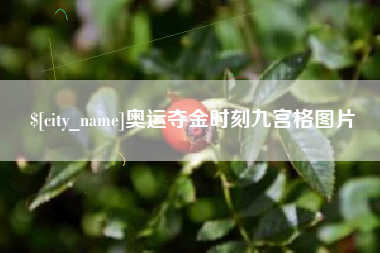 张掖奥运夺金时刻九宫格图片