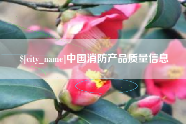 张掖中国消防产品质量信息