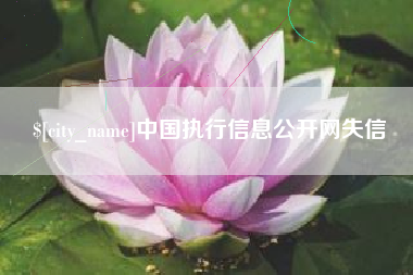 张掖中国执行信息公开网失信