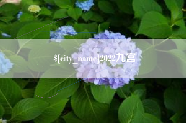 张掖2022九宫