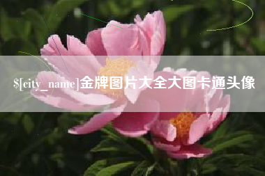 张掖金牌图片大全大图卡通头像